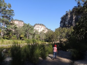 Carnarvon Gorge