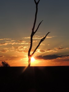 Sunset at Lightning Ridge