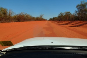 Heading out towards the bird observatory